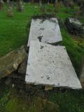 image of grave number 546867